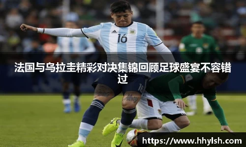 boyu博鱼官方app